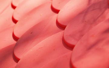 Coffinswell plastic roof costs